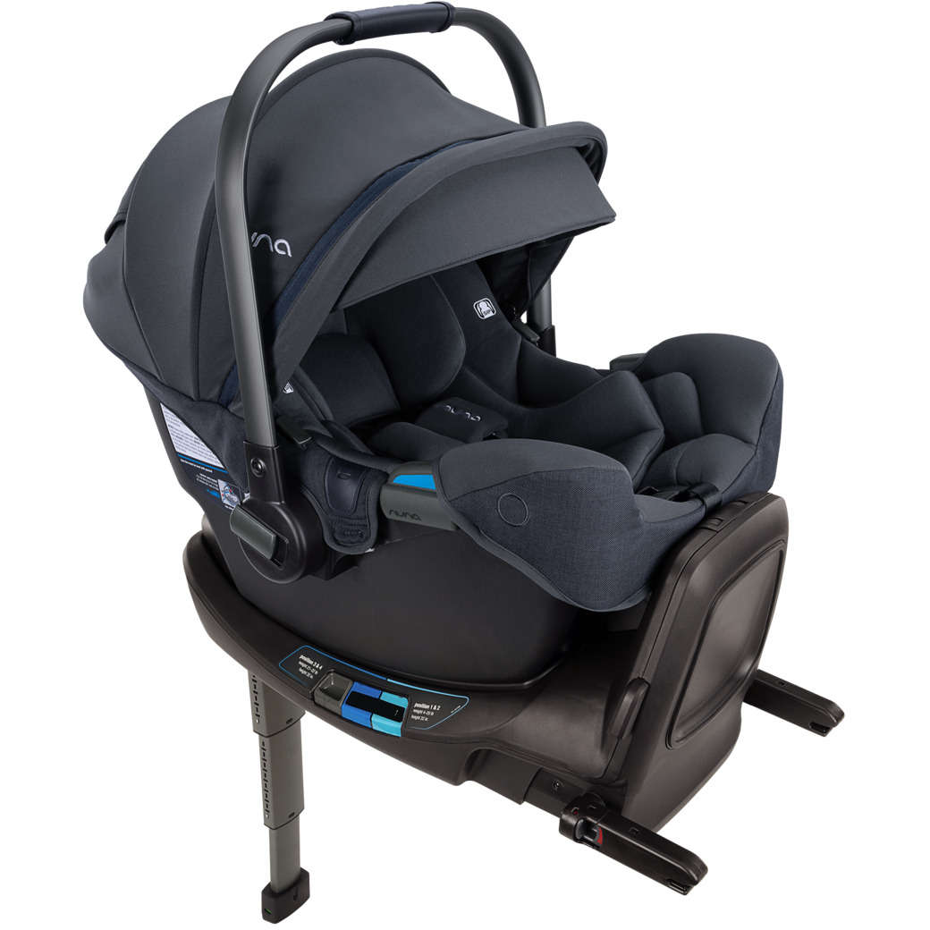 Baby pipa clearance