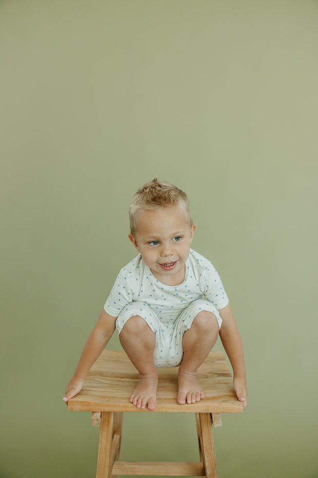 Copper Pearl 2-Piece Short Sleeve Pajama Set | Haze