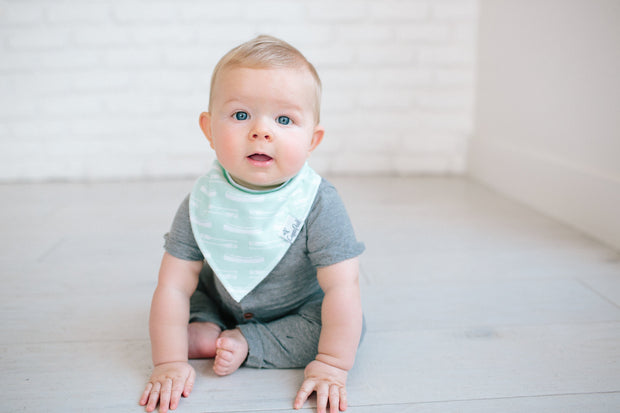 Copper Pearl Baby Bandana Bibs | Scout