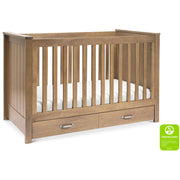 DaVinci Asher 3-in-1 Convertible Crib with Toddler Bed Conversion Kit