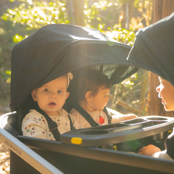 Bob stroller canopy hotsell